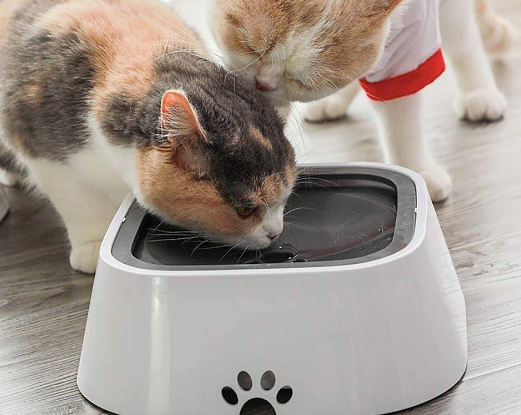 Anti Splash Pet Floating Water Bowl